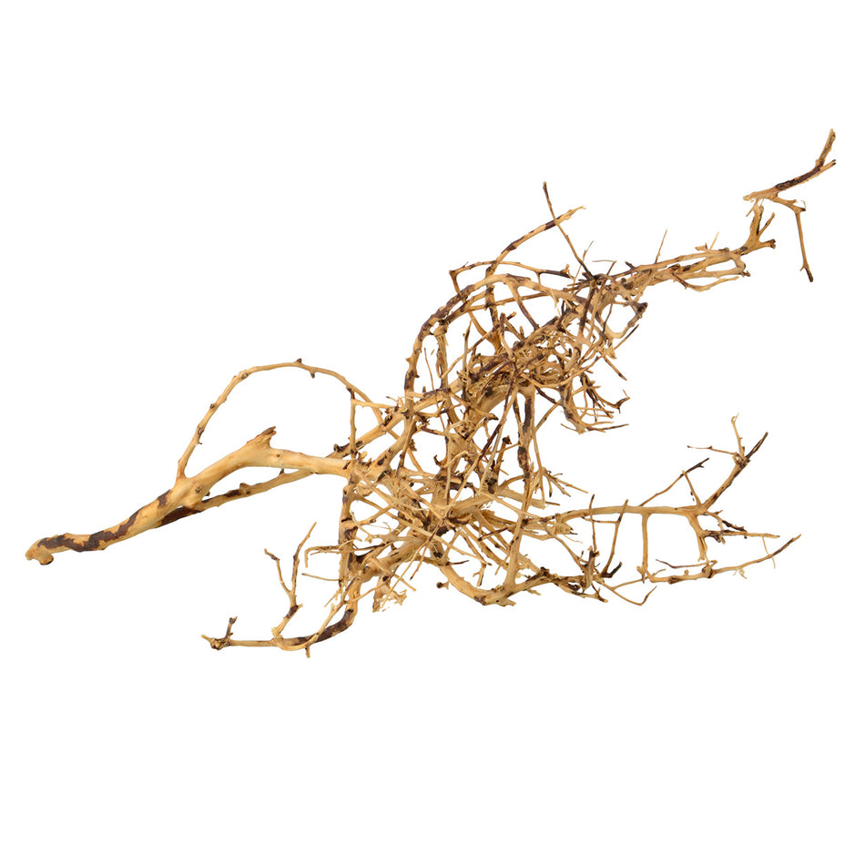 Underwater Treasures Bird Nest Wood - Small