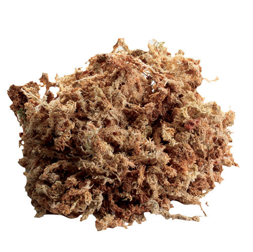 Zoo Med New Zealand Sphagnum Moss - 150 g