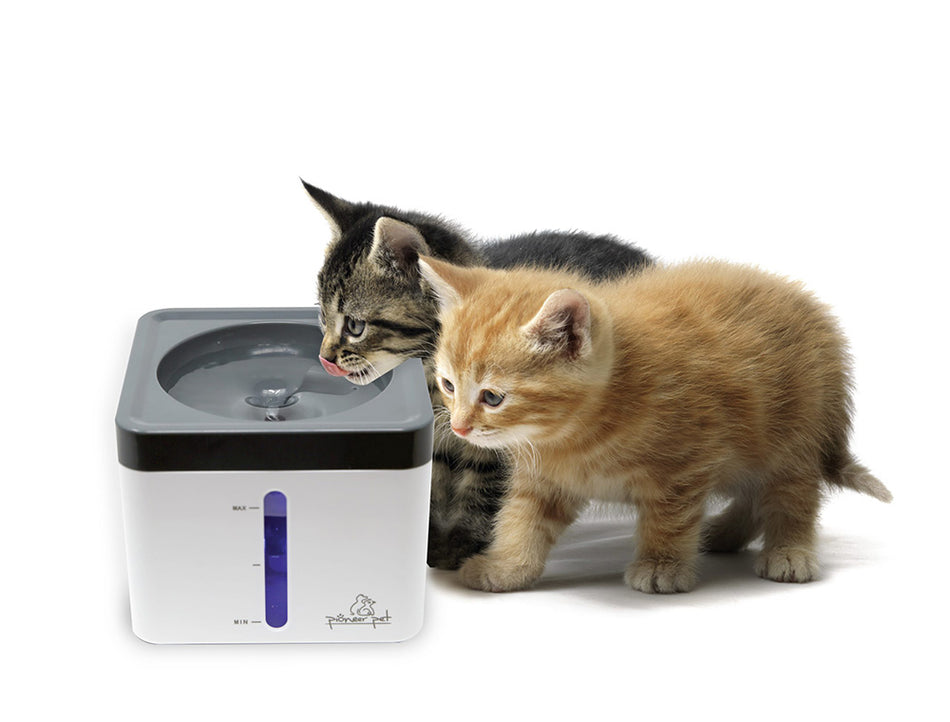 Pioneer Pet Mini Vortex Pet Fountain - 80 oz