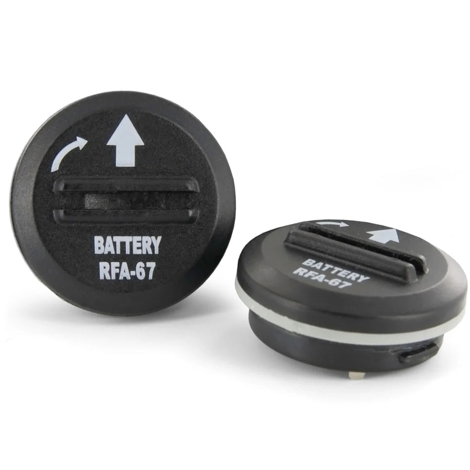 PetSafe 6 Volt Lithium Battery (2-Pack)