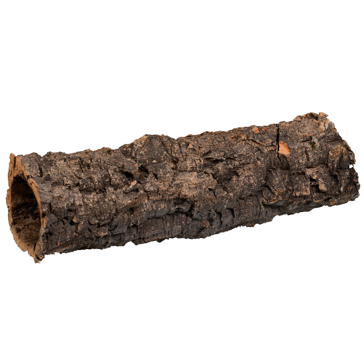 Reptile best sale cork bark