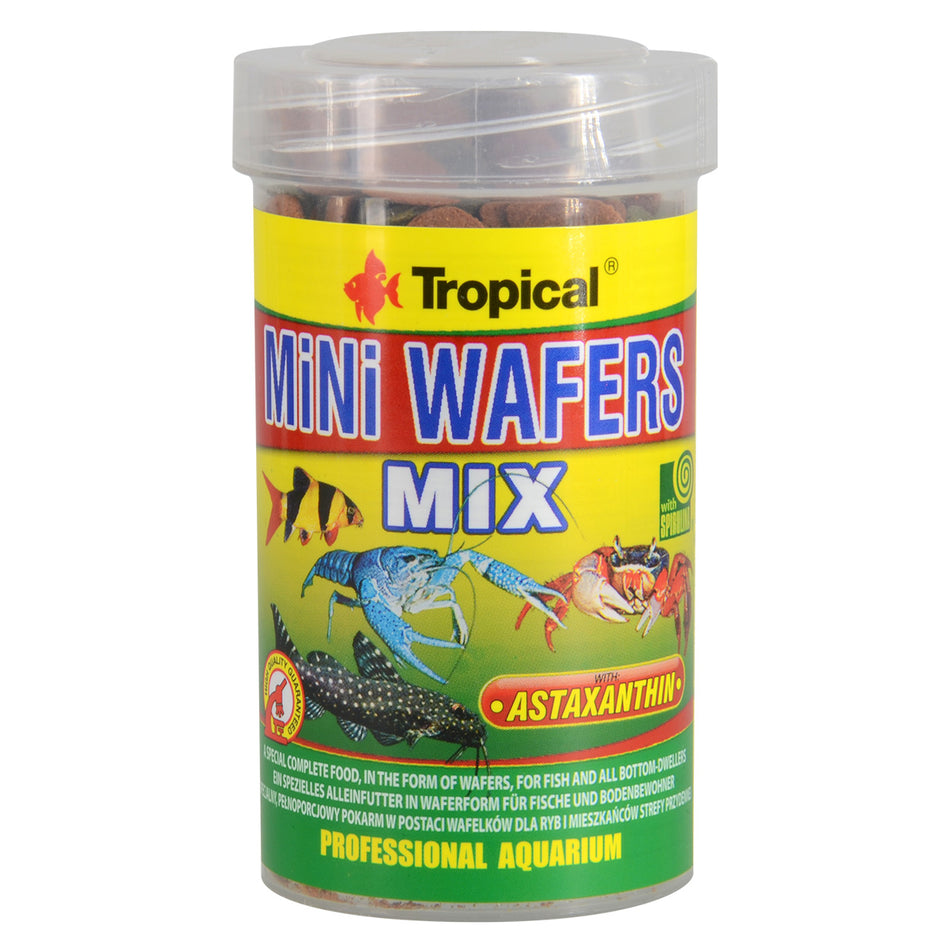 Tropical Mini Wafers Mix