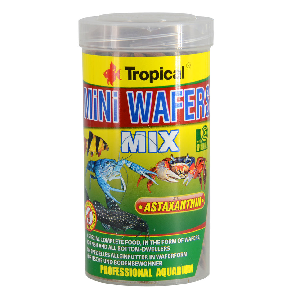 Tropical Mini Wafers Mix