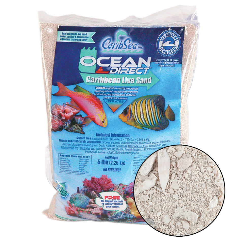 Ocean Direct Caribbean Live Sand