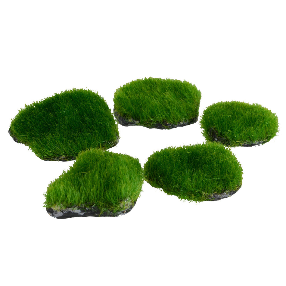 Underwater Treasures Mini Moss Rocks - 5pk