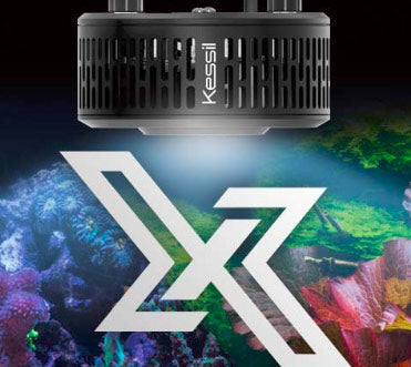 Kessil A360X Tuna Blue