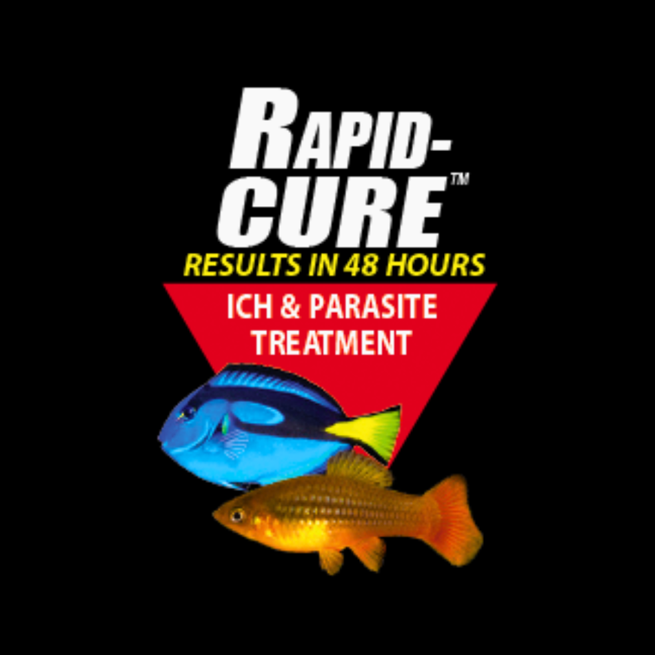 Kordon Rapid Cure