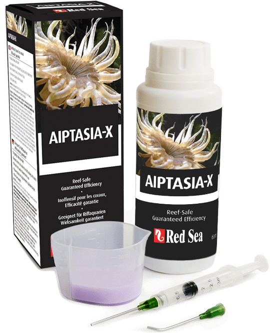 Red Sea Aiptasia-X 2oz